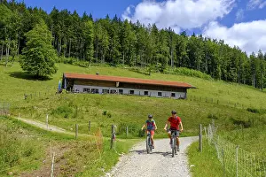 Mountain biker, Kuehzaglalm, Alm