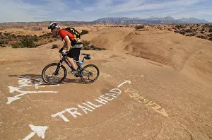 Mountain biker on Slickrock Trail