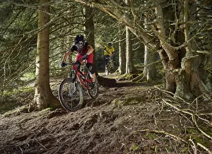Mountain bikers, downhill bikers riding a downhill trail through the woods