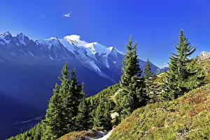 Framed Print : Mountain forest in an autumnal landscape with the snow-covered Mont Blanc massif in the background