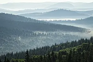 Mountain forest landscape in the morning with fog over the trees