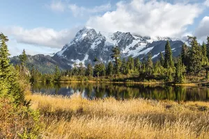 Mountain lake Picture Lake with forest