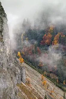 Mountain landscape with autumn coloured trees