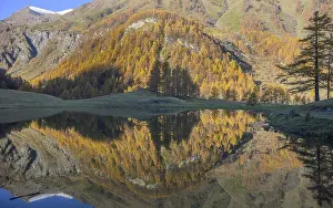Framed Print : Mountain landscape with colorful autumn trees reflected perfectly in a still lake Framed Print : Mountain landscape with colorful autumn trees reflected perfectly in a still lake