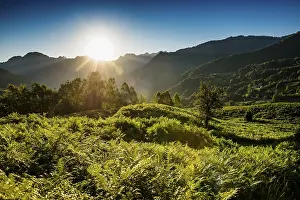 Mountain landscape, Lescun, Departement Pyrenees-Atlantiques