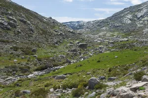 Mountain landscape with a river flowing through a rocky