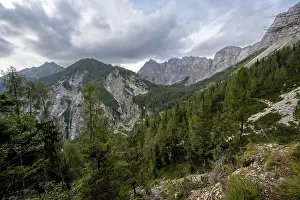 Mountain landscape with rocky mountain peaks and mountain forest