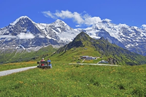 Mountain meadow on the Maennlichen with the triumvirate of the Eiger