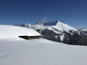 Mountain named Lauenenhorn and snow covered hut