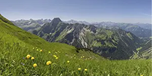 Mountain panorama with troll flowers (Trollius europaeus) from Laufbacher-Eckweg to Hofats