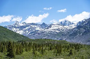 Mountain peak with snow and taiga