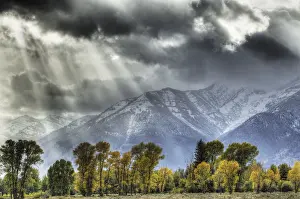 Mountain range, View of mountain range and trees in autumn colour