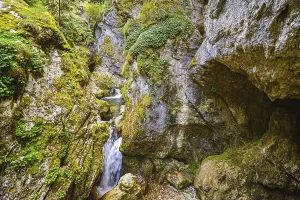Mountain river in the Trigrad Gorge