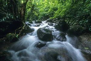 Mountain Spring in Western Ghats