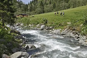 Mountain stream, mountain range