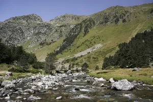 Mountain torrent, landscape in the Pyrenees