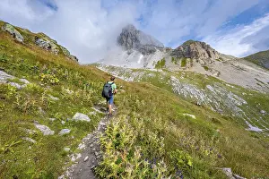 Mountaineer on a hiking trail between flowering thistles
