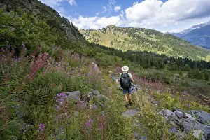 Mountaineer on a hiking trail between flowers