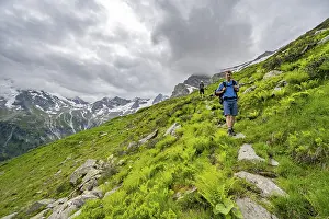 Mountaineers between green vegetation on a hiking trail