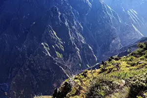 Mountains and a deep gorge with green vegetation under bright sunlight