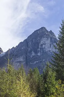 Mountains and forest in autumn