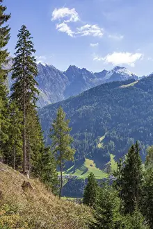 Framed Print : Mountains with forest and trees in autumn