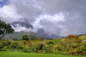Mountains Jonkershoek Nature Reserve from Oldenburgt Wine Estate