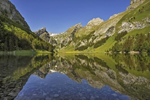 Category Mountain Landscapes Prints: Mountains are reflected in the Seealpsee