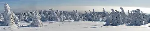 Mt Brocken Panorama, winter on Mt Brocken in the Harz