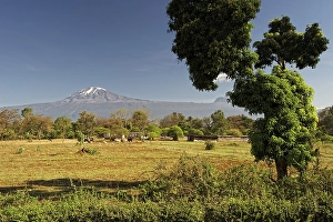 Category Mountain Landscapes Prints: Mt Kilimanjaro, Tanzania, Africa