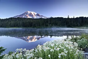 Mt Rainier reflected in a lake