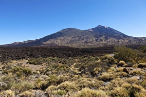 Mt Teide volcano in the Teide National Park