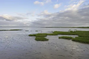 Mudflats at low tide, Wadden Sea National Park