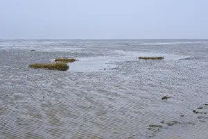 Mudflats at low tide in the Wadden Sea National Park