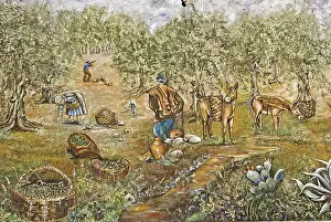 Mural painting, olive harvest, Aspermonte