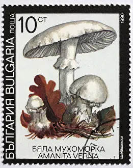 Mushrooms as a stamp motif, Amanita verna