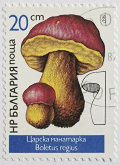 Mushrooms as stamp motif, Boletus regius