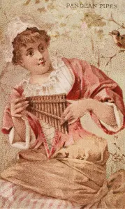 Musical instruments, Woman playing a musical instrument