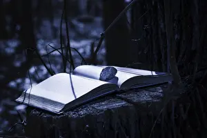 A mysterious book stays on the tree trunk with a stone on a page