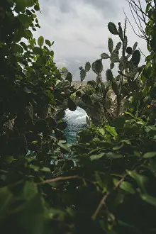 Mysterious view of a rock arch through dense vegetation with churning sea in the background