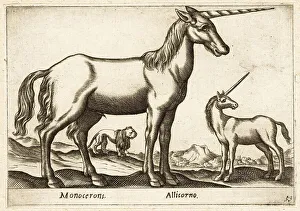 Mythical creature, unicorn, two unicorns and a lion
