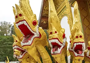 Naga at the steps of Wat Ho Pha Bang temple