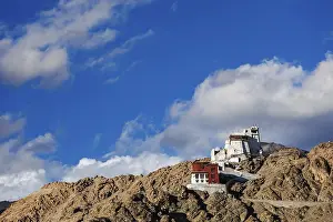 Namgyal Tsemo gompa and fort. Leh
