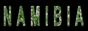 Namibia Reforestation and Climate Message