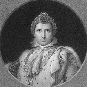 Napoleon Bonaparte, Emperor Napoleon I