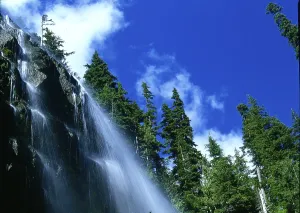 Narada Falls, Mount Rainier National Park
