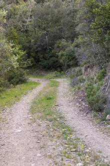 Narrow double track with a grassy center in Vallon de Vanadal