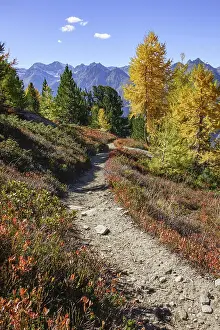 Narrow hiking trail through colorful autumn landscape with mountain views