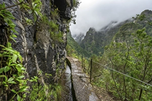 Narrow hiking trail along a levada