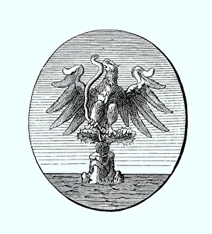 National coat of arms, coat of arms from 1890